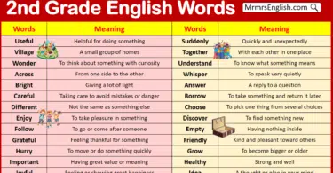 2nd Grade Vocabulary Words