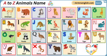 A to Z Animals Name in English with their Pictures