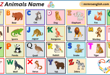 A to Z Animals Name in English with their Pictures