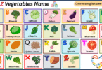 A to Z Vegetables Names in English with their Pictures