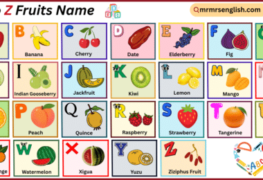 A to Z Vegetables Names in English with their Pictures