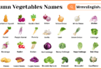 Autumn Vegetables Names in English with Pictures