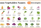 Autumn Vegetables Names in English with Pictures