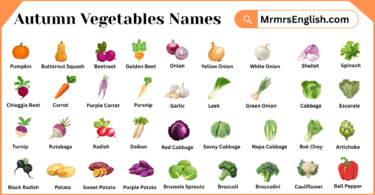 Autumn Vegetables Names in English with Pictures