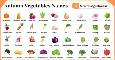 Autumn Vegetables Names in English with Pictures
