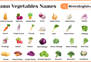 Autumn Vegetables Names in English with Pictures