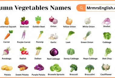 Autumn Vegetables Names in English with Pictures