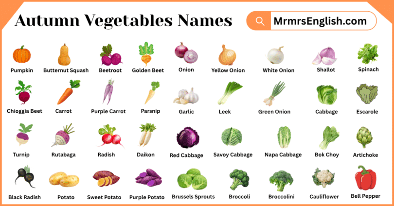 Autumn Vegetables Names in English with Pictures