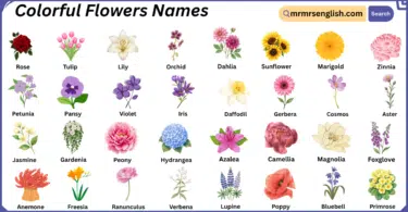 Colorful Flowers Names in English with Their Pictures