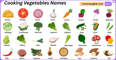 Cooking Vegetables Names in English with Pictures