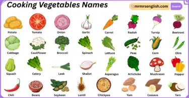 Cooking Vegetables Names in English with Pictures