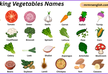 Cooking Vegetables Names in English with Pictures