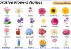 Decorative Flowers Names in English with Their Pictures