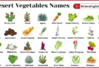 Desert Vegetables Names in English with Pictures