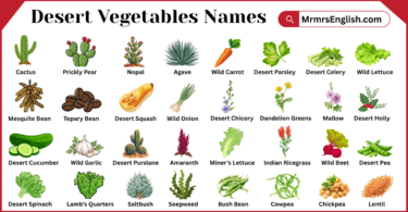 Desert Vegetables Names in English with Pictures