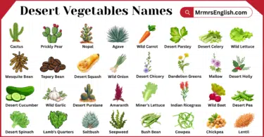 Desert Vegetables Names in English with Pictures