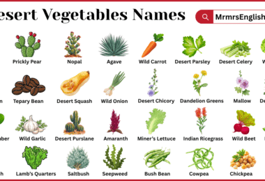 Desert Vegetables Names in English with Pictures