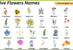 Native Flowers Names in English with Their Pictures