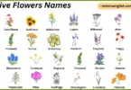 Native Flowers Names in English with Their Pictures