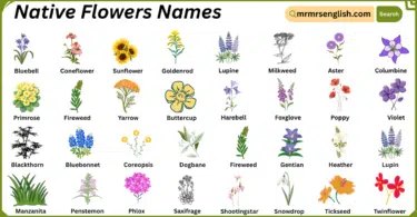 Native Flowers Names in English with Their Pictures