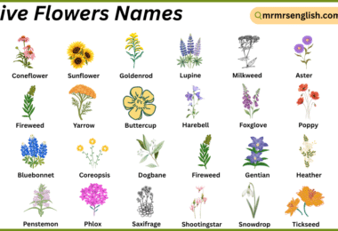Native Flowers Names in English with Their Pictures