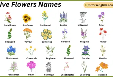 Native Flowers Names in English with Their Pictures