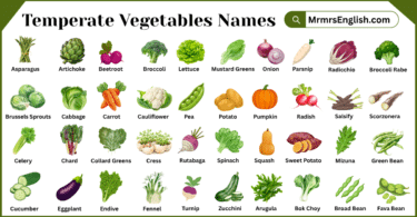 Temperate Vegetables Names in English with Pictures