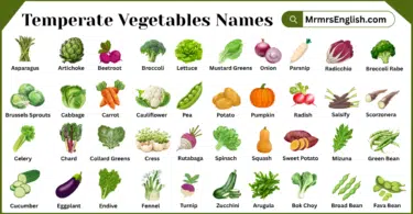 Temperate Vegetables Names in English with Pictures