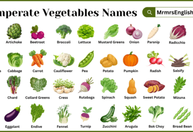 Temperate Vegetables Names in English with Pictures
