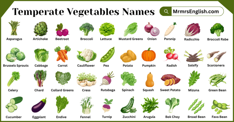 Temperate Vegetables Names in English with Pictures