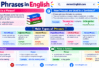 Types of Phrases in English with Definitions and Examples