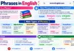Types of Phrases in English with Definitions and Examples