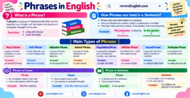 Types of Phrases in English with Definitions and Examples