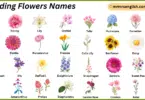Wedding Flowers Names in English with Their Pictures