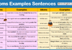 idioms Examples Sentences PDF in English
