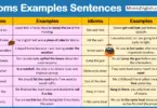 idioms Examples Sentences PDF in English