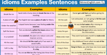 idioms Examples Sentences PDF in English