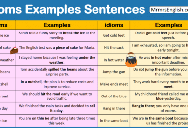 idioms Examples Sentences PDF in English