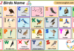 A to Z Birds Name in English with their Pictures