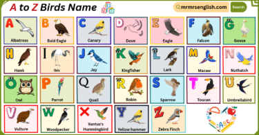 A to Z Birds Name in English with their Pictures