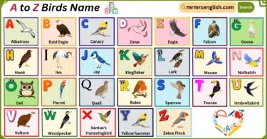 A to Z Birds Name in English with their Pictures