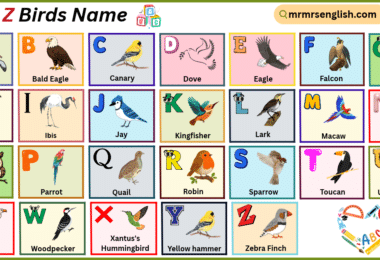 A to Z Birds Name in English with their Pictures