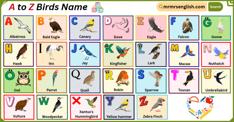 A to Z Birds Name in English with their Pictures