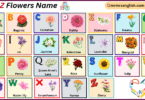 A to Z Flowers Name in English with their Pictures