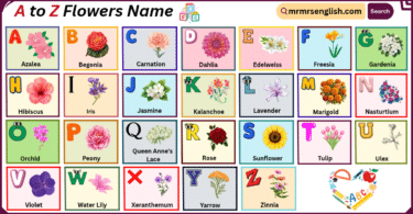 A to Z Flowers Name in English with their Pictures