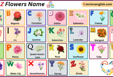 A to Z Flowers Name in English with their Pictures