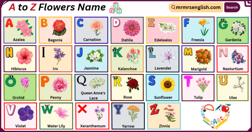 A to Z Flowers Name in English with their Pictures