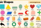 Basic Shapes with Names and Pictures