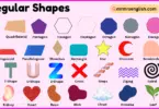 Irregular Shapes with Names and Pictures