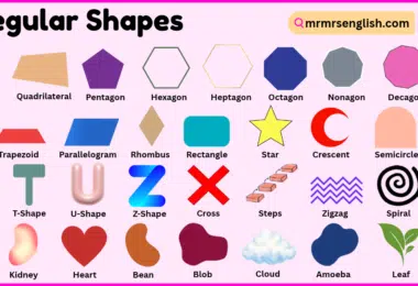 Irregular Shapes with Names and Pictures